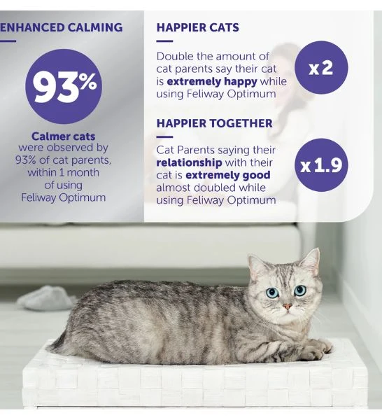 Feliway Optimum Calming Diffuser + Refill for Cats 48ml
