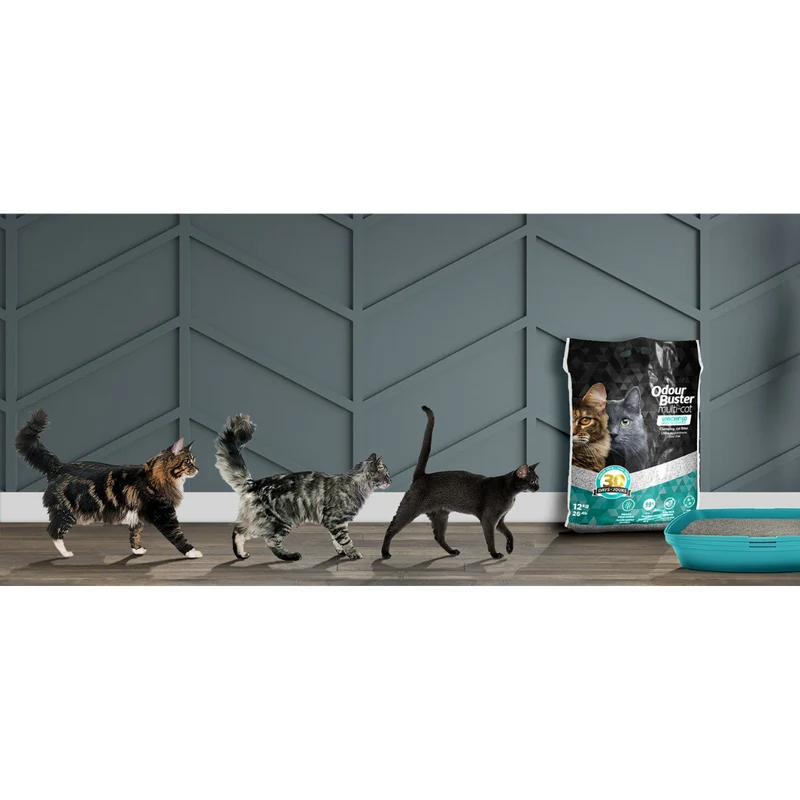 Odour Buster Multi-Cat Clumping Unscented Cat Litter 12kg