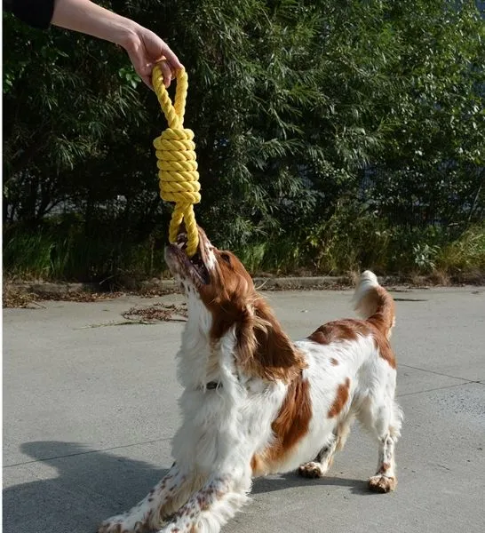 ebi Bite Me 'Tug Life' 2 Loops Playing Rope