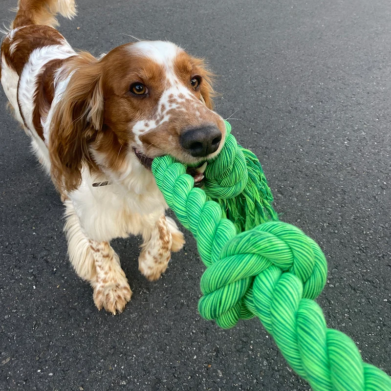 ebi Bite Me 'Floss' Playing Rope with 5 Knots 120cm