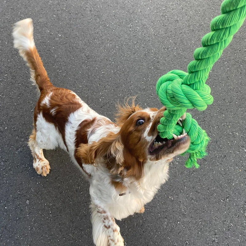 ebi Bite Me 'Floss' Playing Rope with 5 Knots 120cm