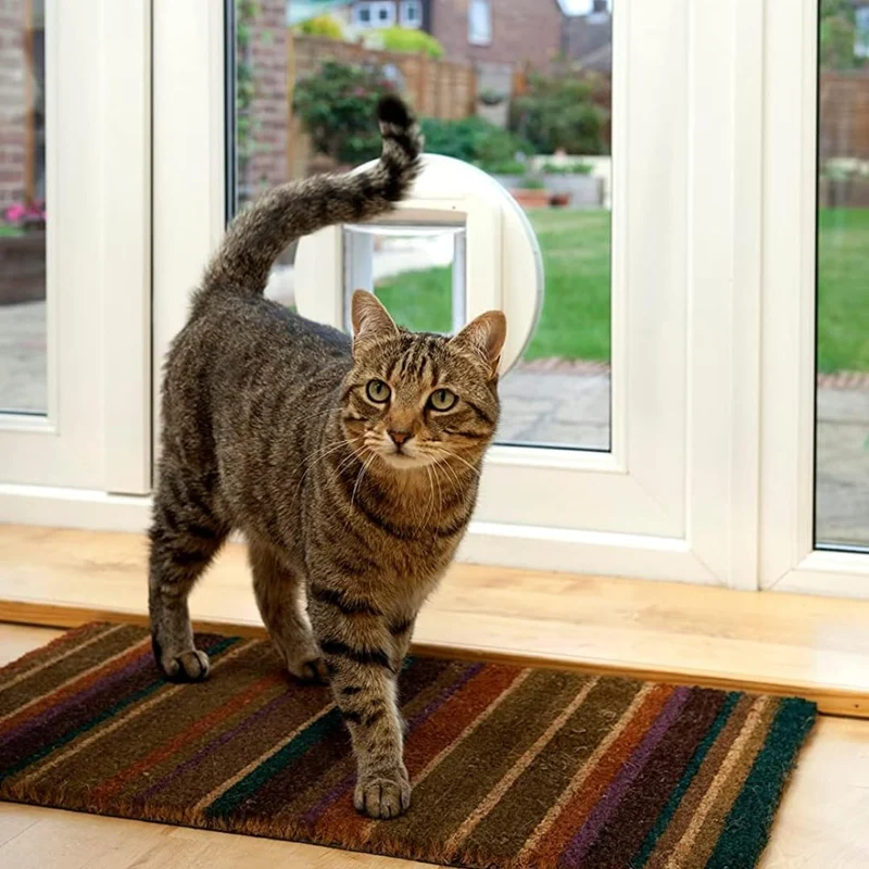 SureFlap Cat Door Flap with Microchip ID Model 38530 for Cats 21x21cm