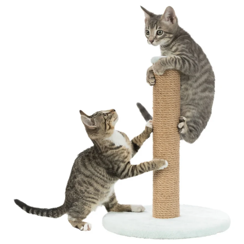 Trixie Junior Scratching Post On Plate for Cats 42cm