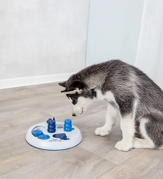 Trixie Activity Flip Board Toy for Dogs 23cm