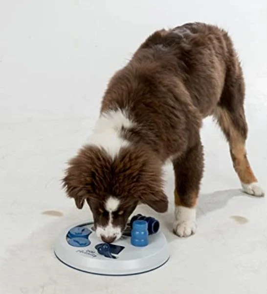 Trixie Dog Activity Flip & Fun Toy for Dogs 23cm