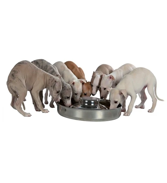 Trixie Stainless Steel Bowl for Puppies 4L
