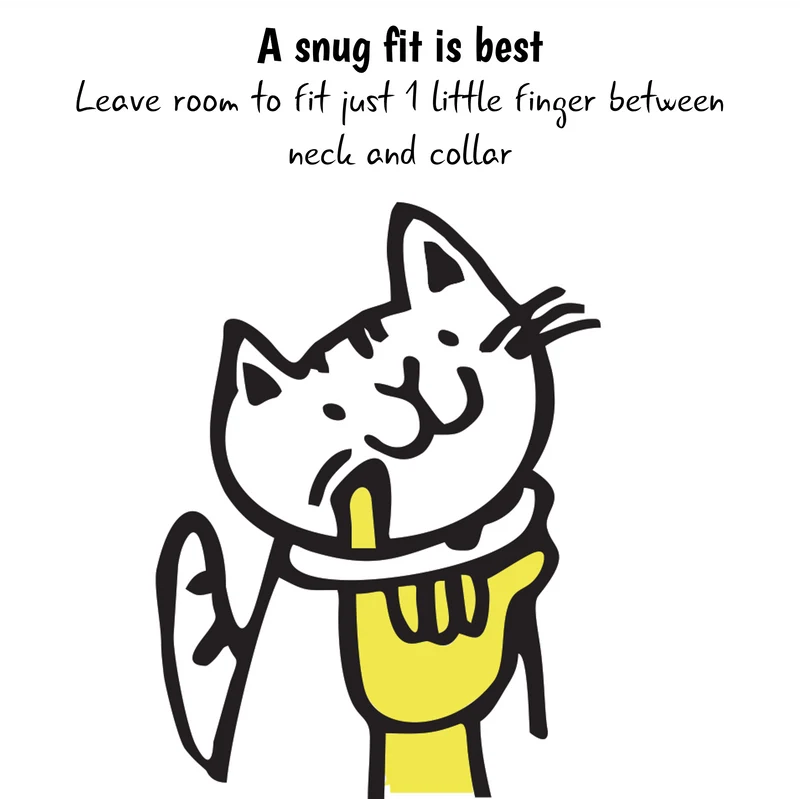 Kittyrama Aqua Cat Collar 19.5cm - 26.5cm