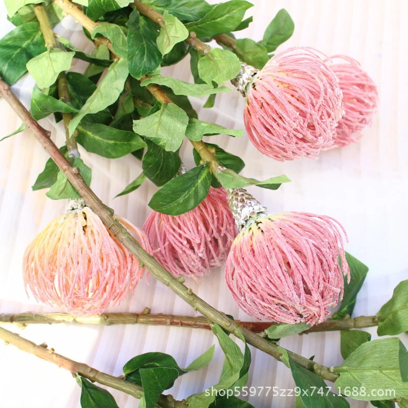 Realistische Protea-Blumenstiel