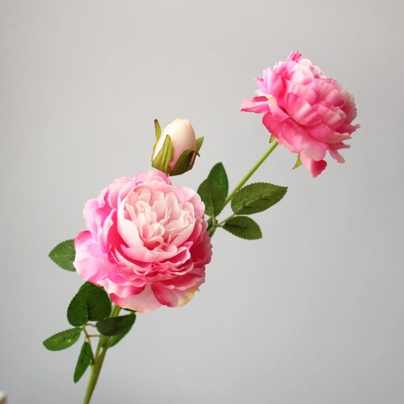 Realistische Pfingstrosenblüte Stem