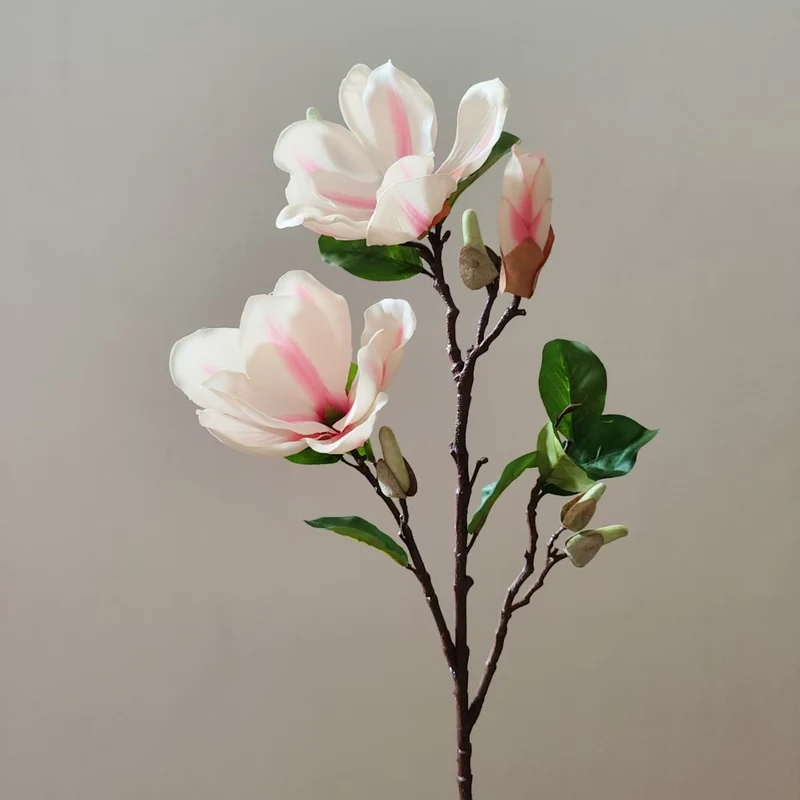 Realistische Magnolienblüte Stamm