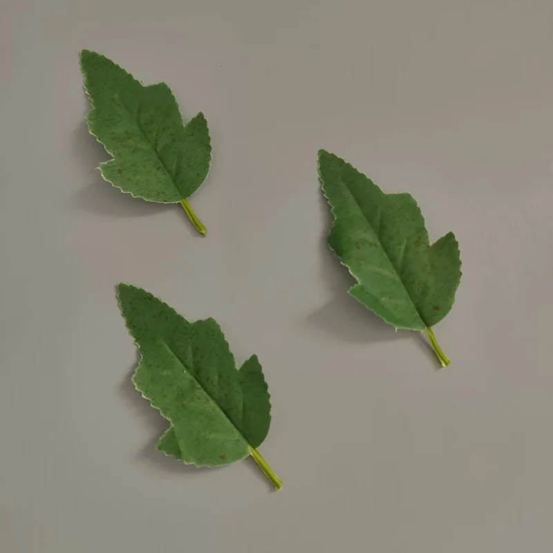 Realistische Dekorative Blattstängel