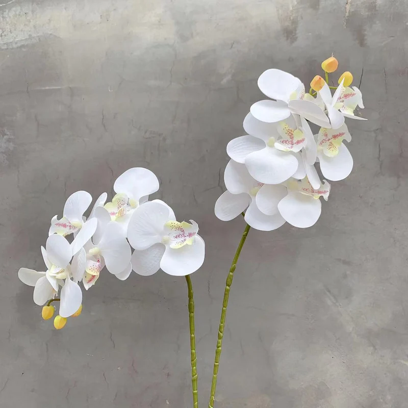 Realistische Künstliche Orchideenstamm