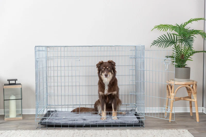 Trixie Galvanized 2 Door Wire Indoor & Travel Crate for Dogs & Cats