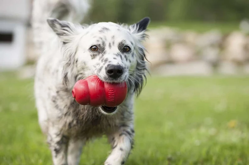 KONG Classic Cone Chew Toy for Dogs