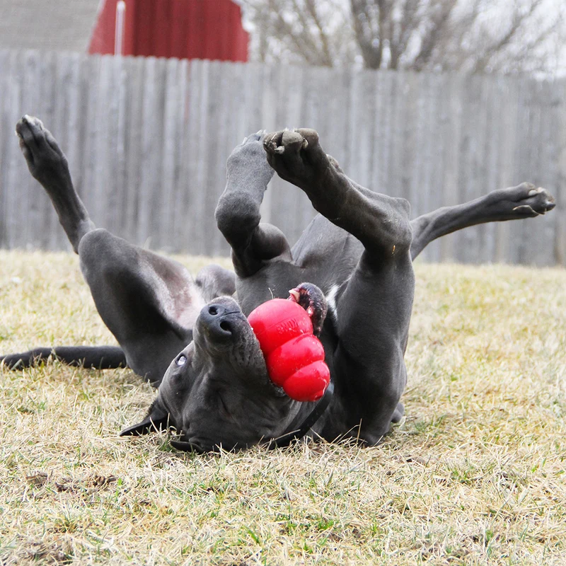 KONG Classic Cone Chew Toy for Dogs