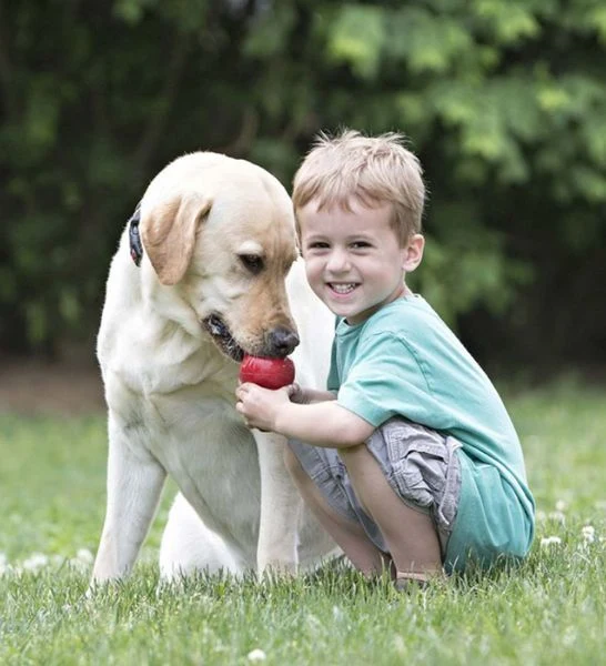 KONG Classic Cone Chew Toy for Dogs