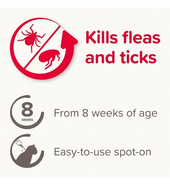 Beaphar Fiprotec Spot-On Flea & Tick Treatment for Cats