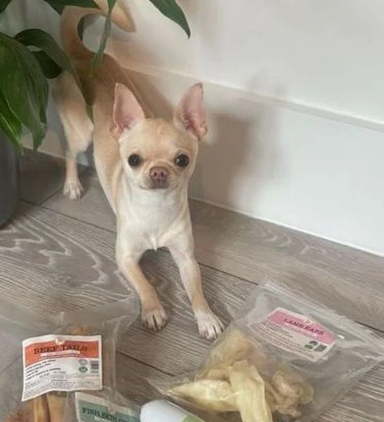 Jr Pet Products Lamb Ears Dog Treats 100G
