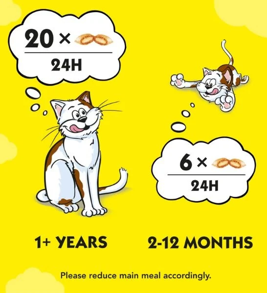 Dreamies Chicken Cat Treats 60G