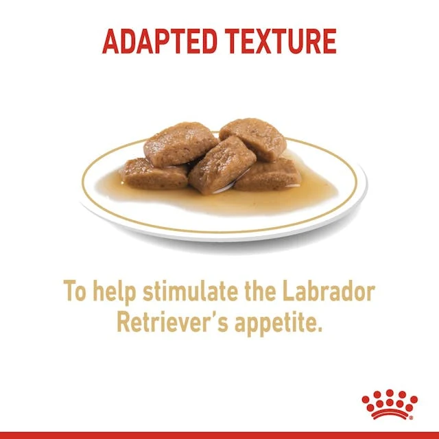 Royal Canin Labrador Retriever In Gravy Adult Wet Dog Food 140G
