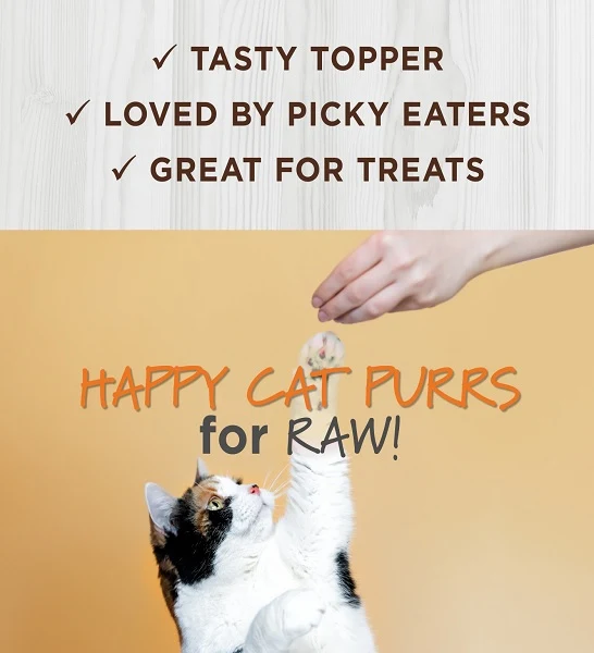 Instinct Raw Boost Mixers Digestive Health Freeze Dried Cat Food Topper 5.5OZ