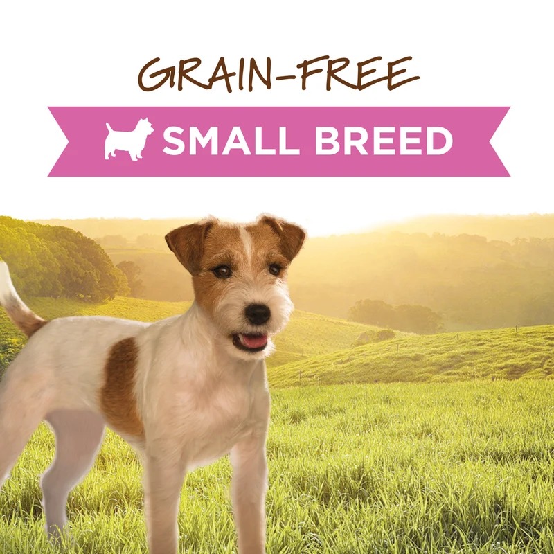 Instinct Original Small Breed Chicken Recipe Dog Wet Food