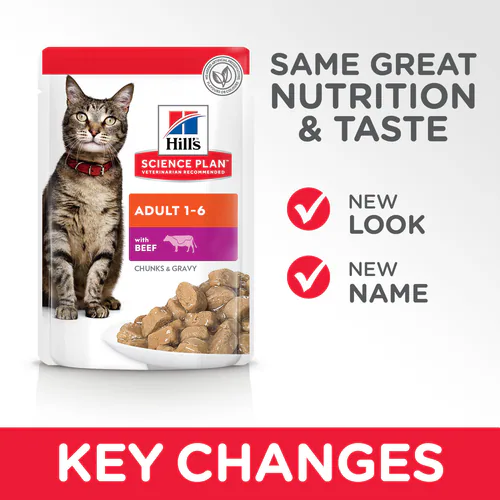 Hill's Science Plan Adult Wet Cat Food Beef Chunks In Gravy In Pouch 85G
