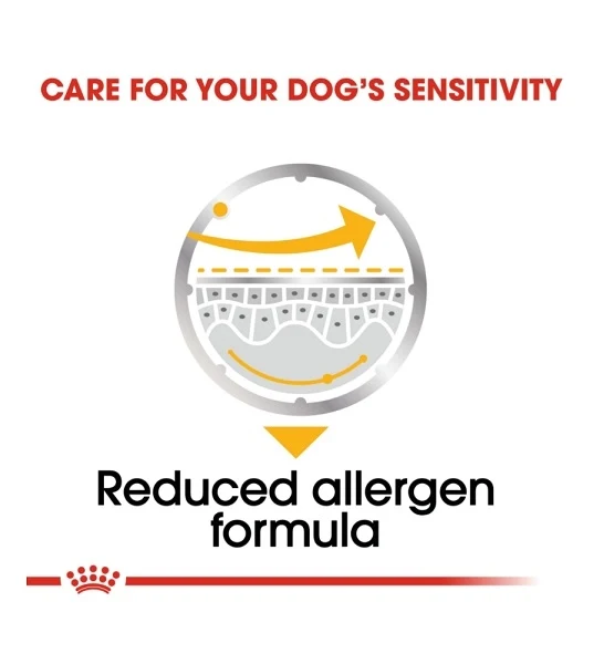 Royal Canin Dermacomfort Care In Loaf Dog Wet Food 85G