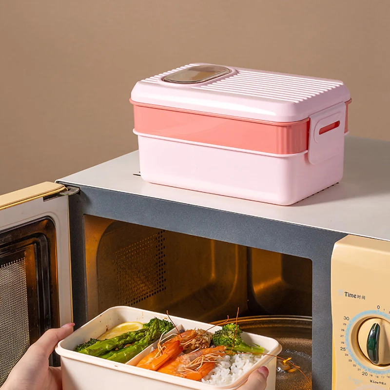 Stilvolle Dual-Section Lunchbox