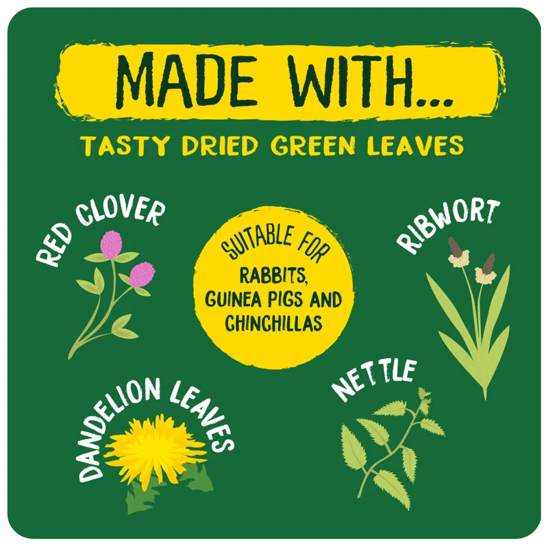 Burgess Excel Luscious Leaves Small Pet Treats 60G
