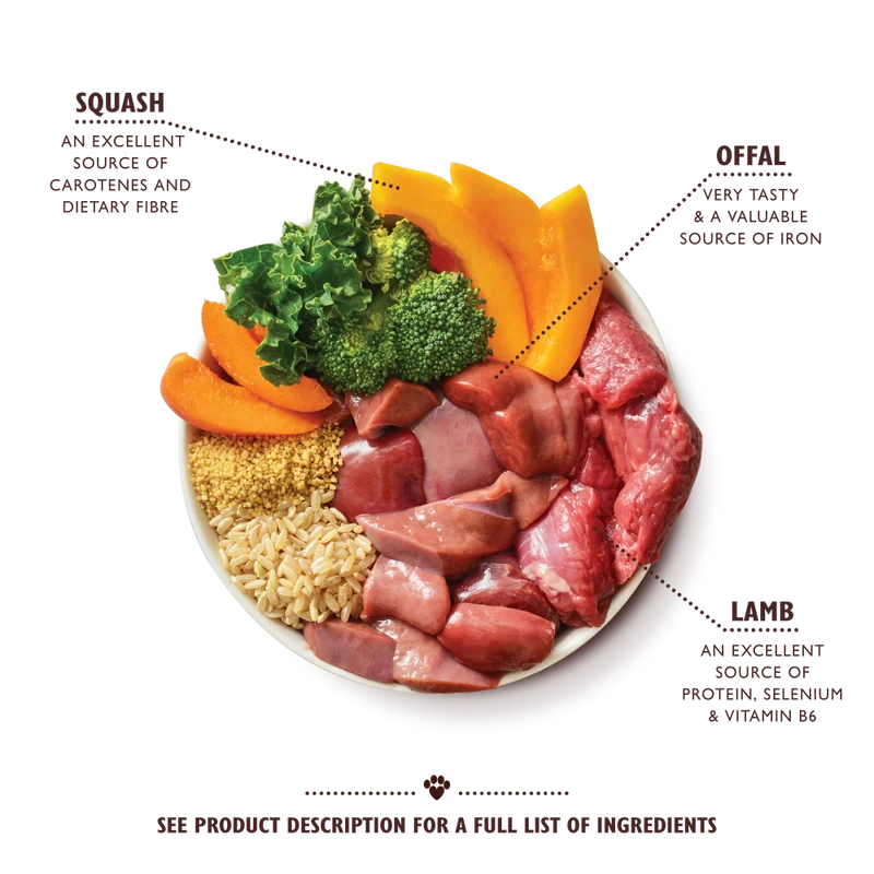 Lily's Kitchen Lamb Tagine Canned Dog Wet Food