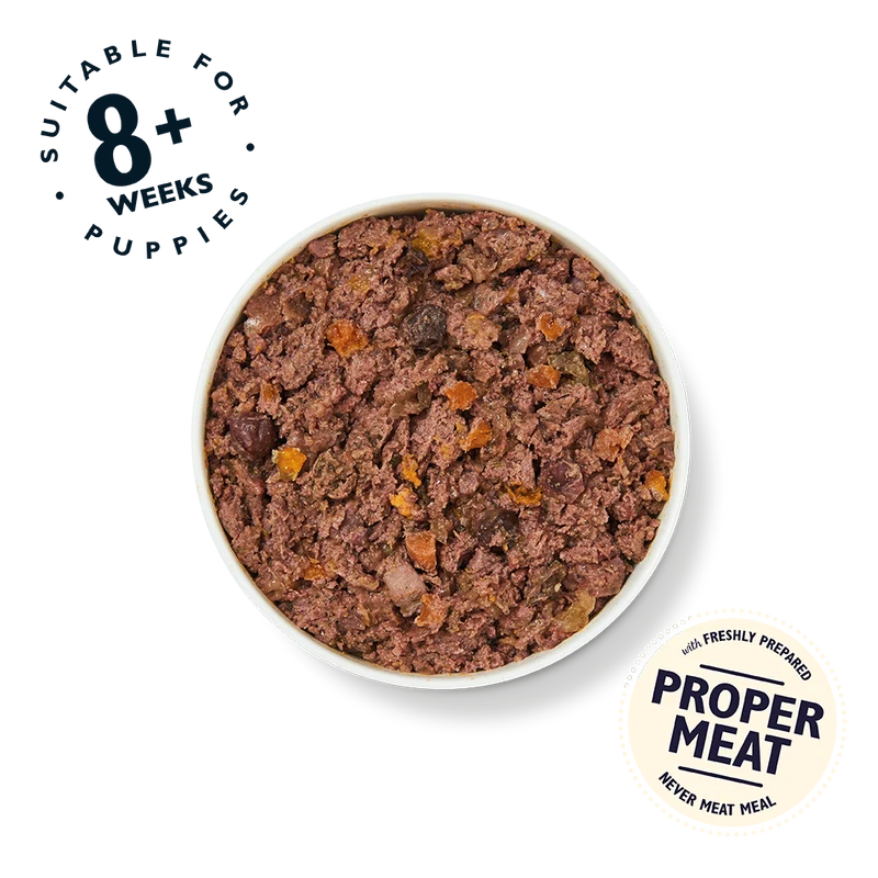Lily's Kitchen Turkey & Duck Puppy Recipe Canned Wet Dog Food