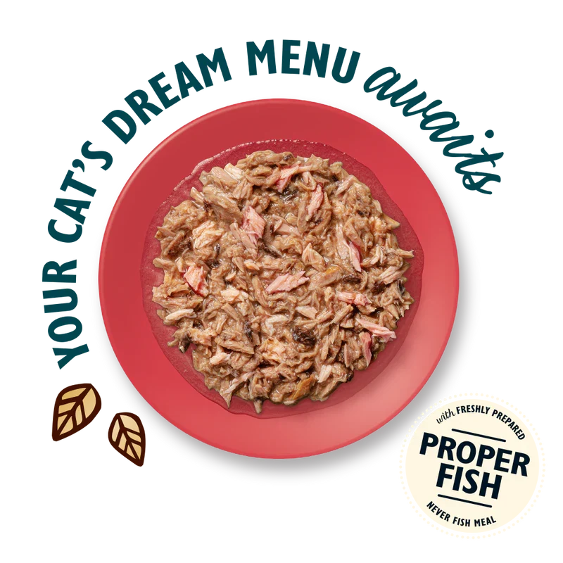Lily's Kitchen Shredded Fillets In Broth Multipack Wet Cat Food For Sterilised Cat 8x70G