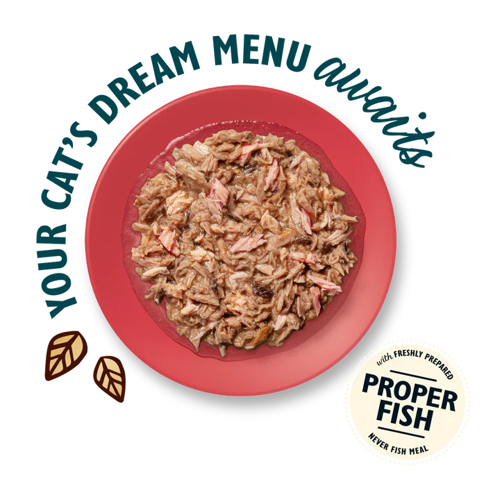 Lily's Kitchen Shredded Fillets Tuna & Salmon In Broth Wet Cat Food