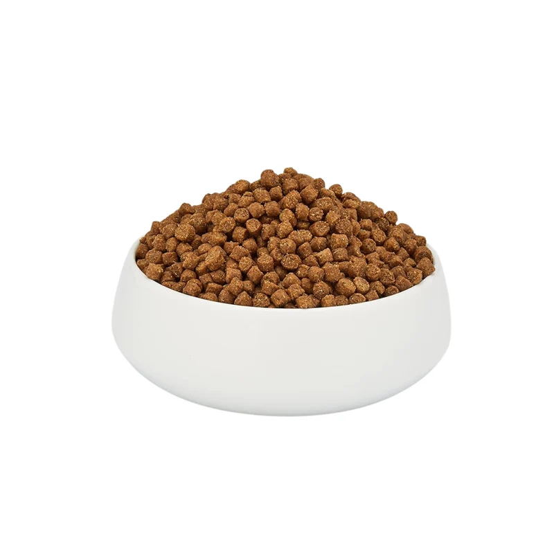 Schesir Monoprotein Formula Adult Dry Cat Food Maintenance With Chicken