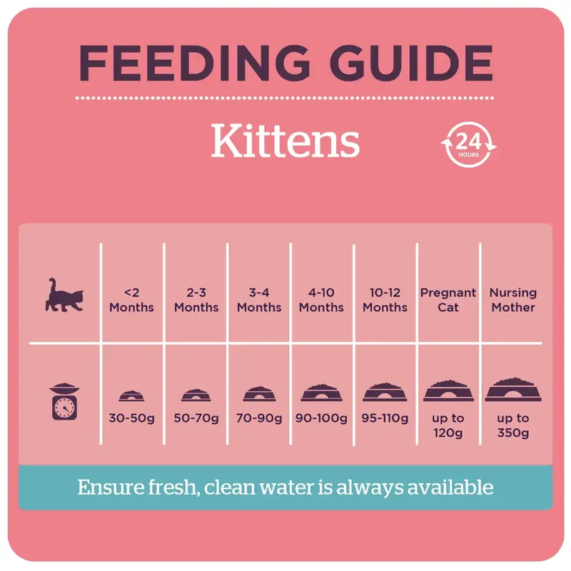 Burgess Kitten Dry Cat Food Chicken 1.5KG