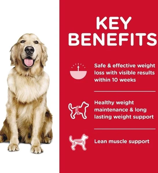 Hill's Science Plan Adult Perfect Weight Large Breed Dog Food with Chicken 12KG