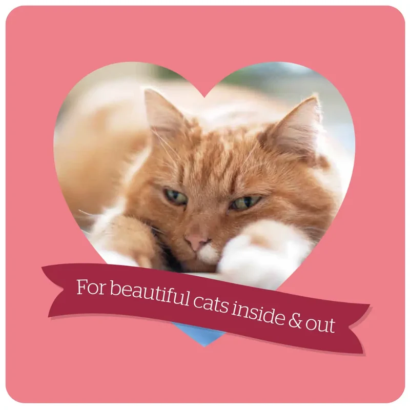 Burgess Mature Cat Dry Cat Food Turkey & Cranberry 1.4KG