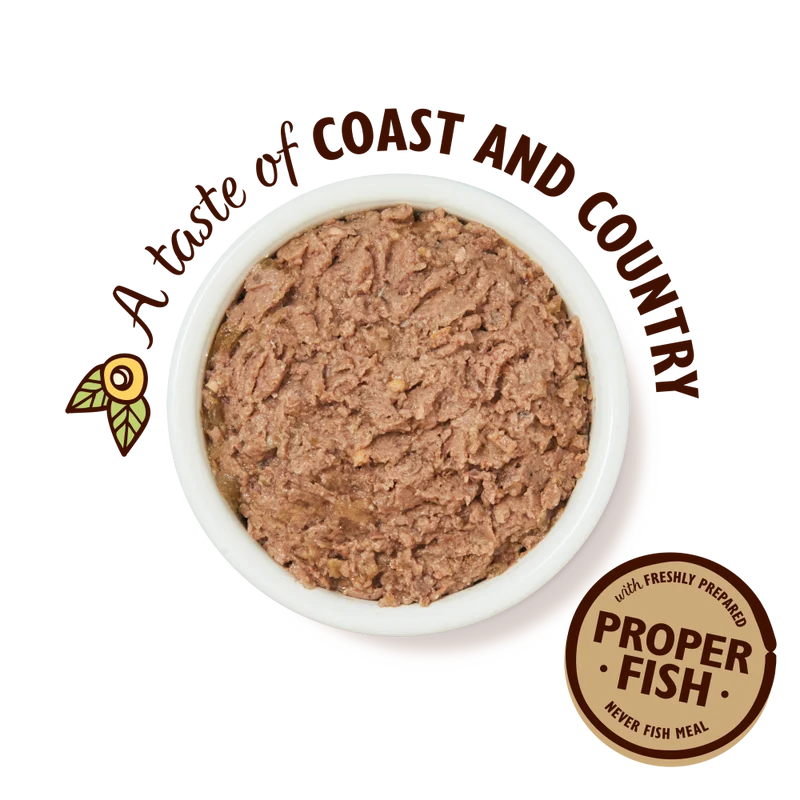 Lily's Kitchen Salmon With Chicken & Prawns Pate Wet Cat Food