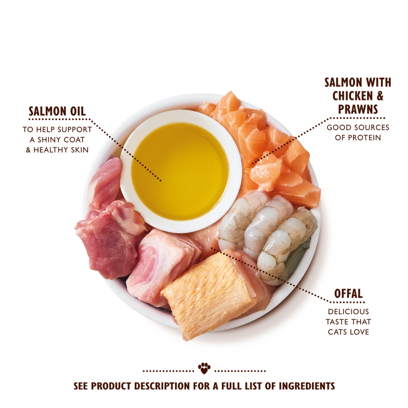 Lily's Kitchen Salmon With Chicken & Prawns Pate Wet Cat Food