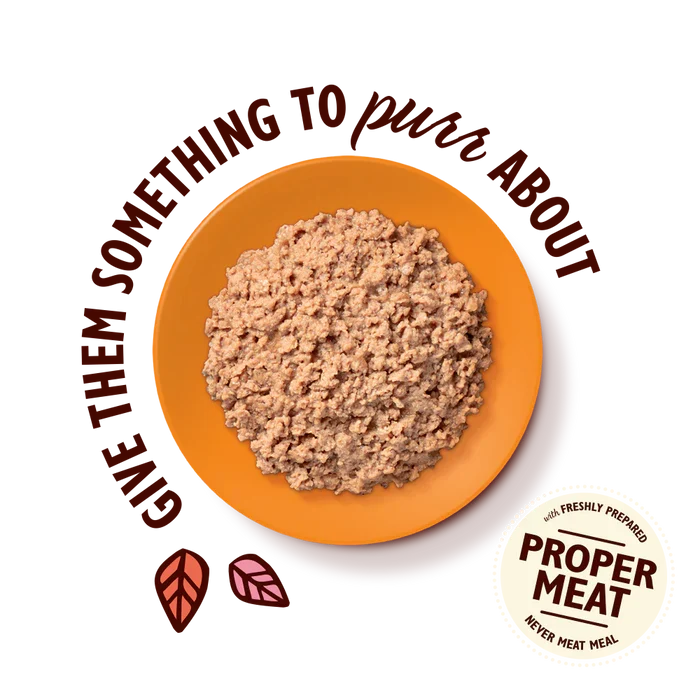 Lily's Kitchen Chicken Pate Wet Cat Food