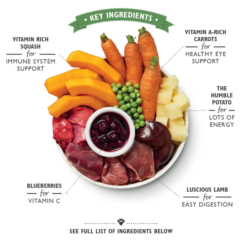 Lily's Kitchen Lamb Hotpot Wet Dog Food