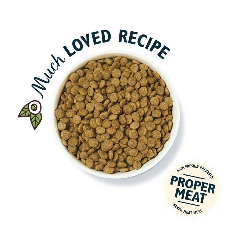 Lily's Kitchen Organic Chicken Bake with Vegetable & Herb Adult Dry Dog Food