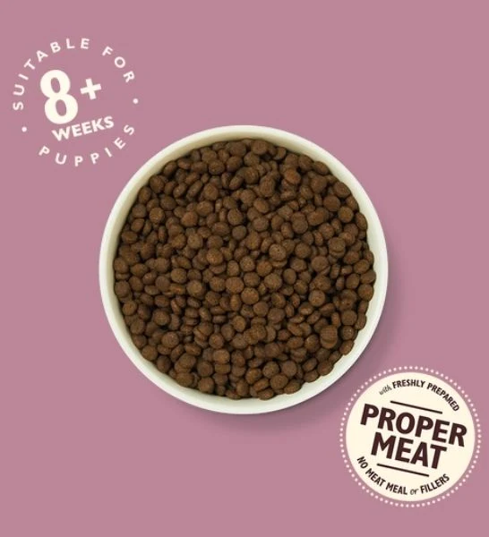 Lily's Kitchen Puppy Recipe with Chicken, Salmon & Peas Dry Food