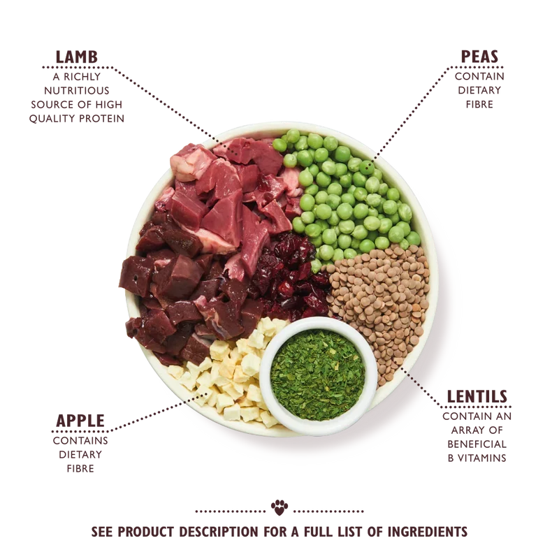 Lily's Kitchen Adult Shepherd's Pie with Lamb Potatoes & Parsley Adult Dry Dog Food