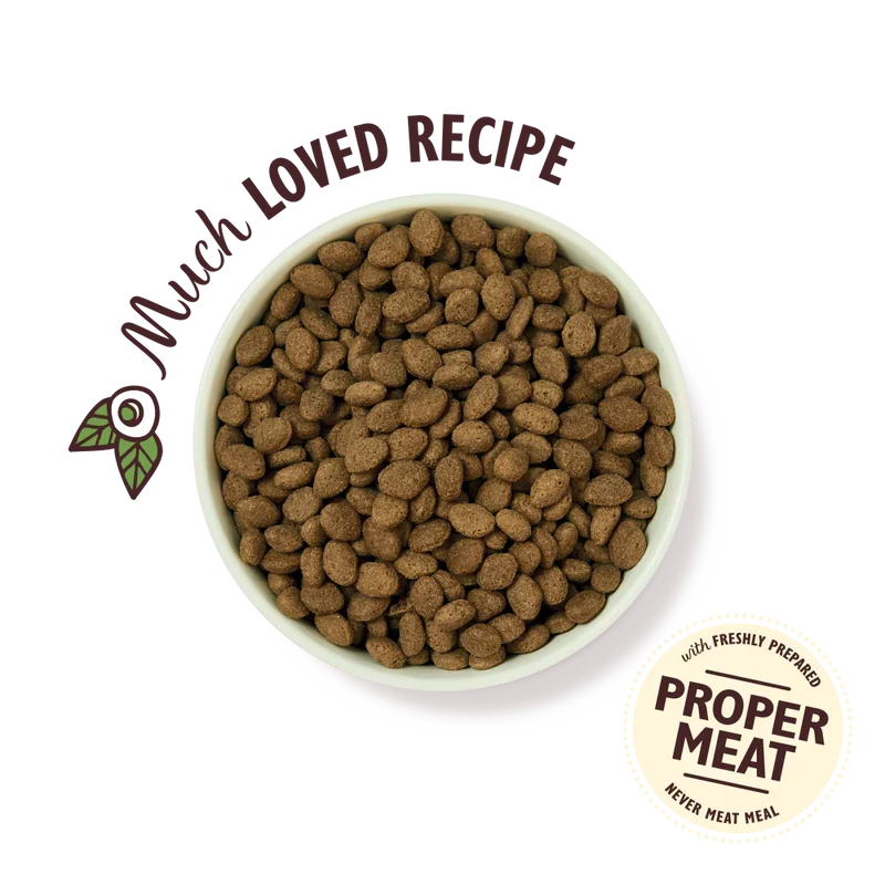 Lily's Kitchen Adult Shepherd's Pie with Lamb Potatoes & Parsley Adult Dry Dog Food