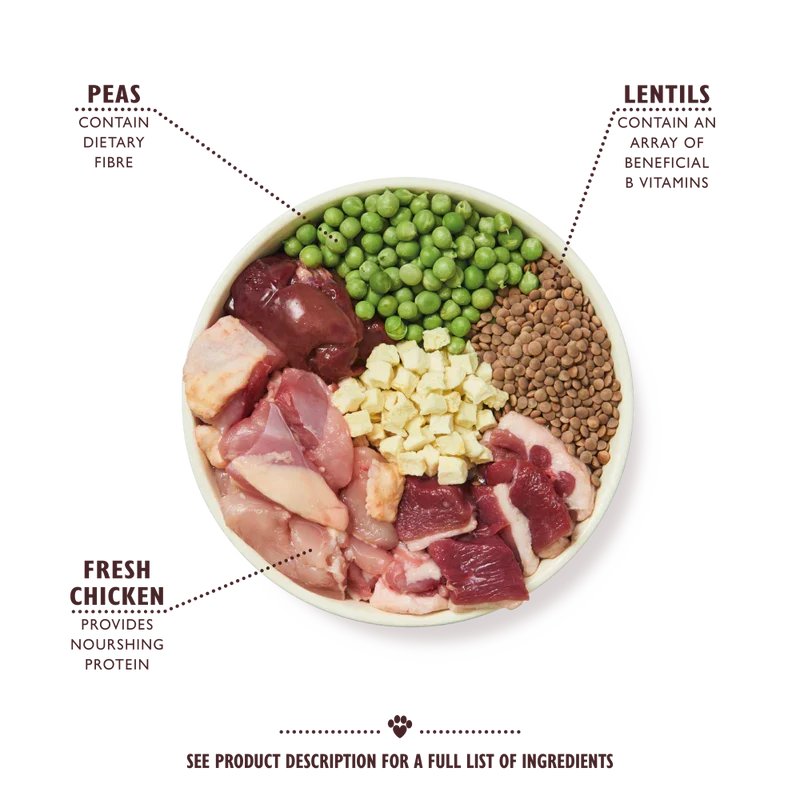 Lily's Kitchen Countryside Casserole with Chicken, Duck & Sweet Potatoes Adult Dry Dog Food
