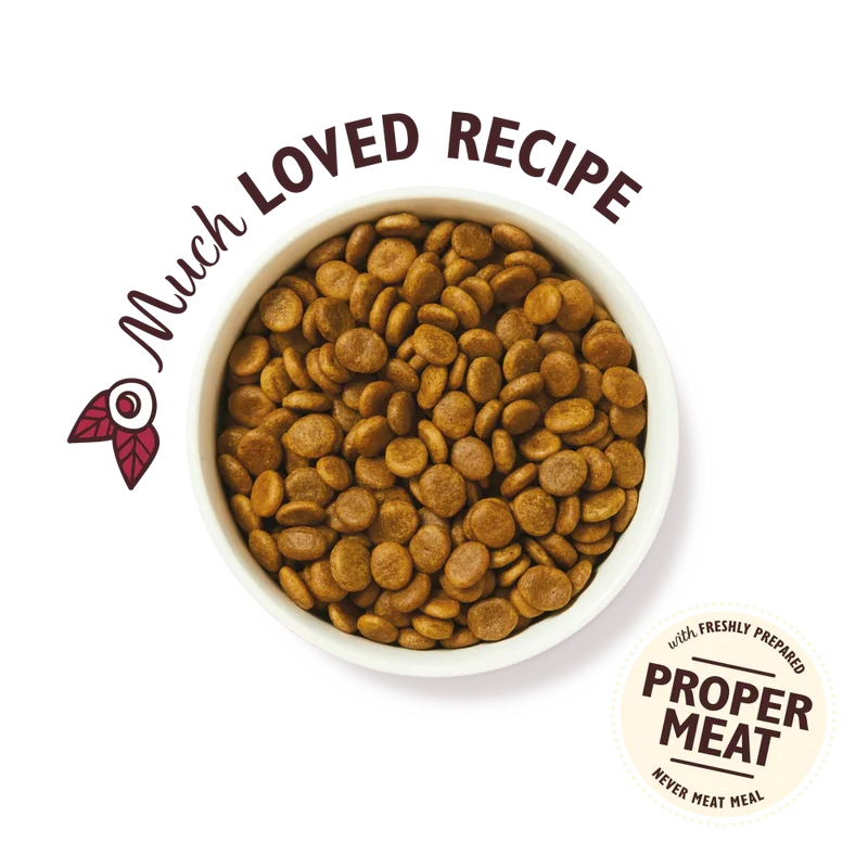 Lily's Kitchen Wild Woodland Walk With Duck, Salmon & Venison Adult Dry Dog Food
