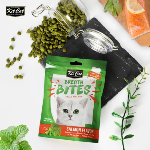 Kit Cat Breath Bites Salmon Flavour Cat Treats 60G