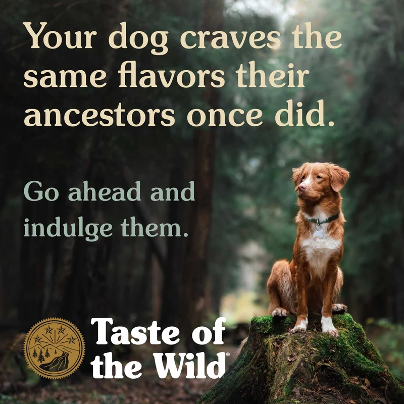 Taste of the Wild Sierra Mountain Canine in Gravy Wet Dog Food 390G
